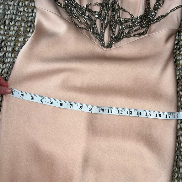 Gorgeous Alexander McQueen Gown size 48 - Picture 8 of 12